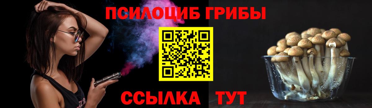 Псилоцибиновые грибы MAGIC MUSHROOMS Вязьма